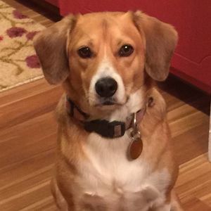 Meet your Posher, Mary